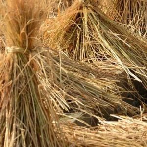 Chaff Cutter-vmagromachine